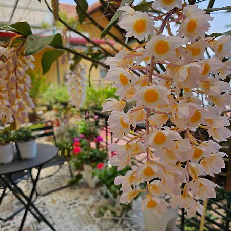 Dang Khoa Garden Inn Homestay Sapa Dış mekan fotoğraf