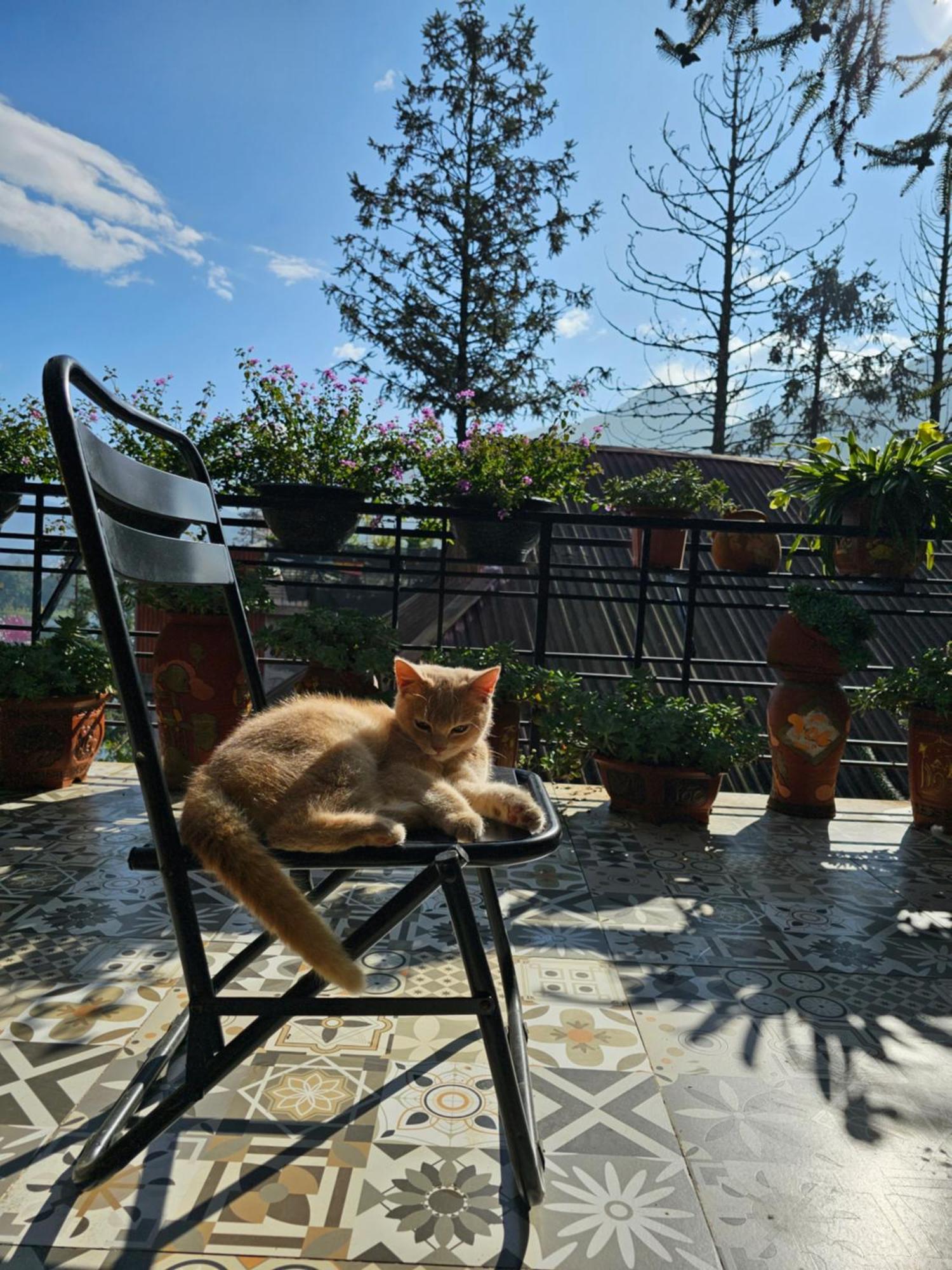 Dang Khoa Garden Inn Homestay Sapa Dış mekan fotoğraf