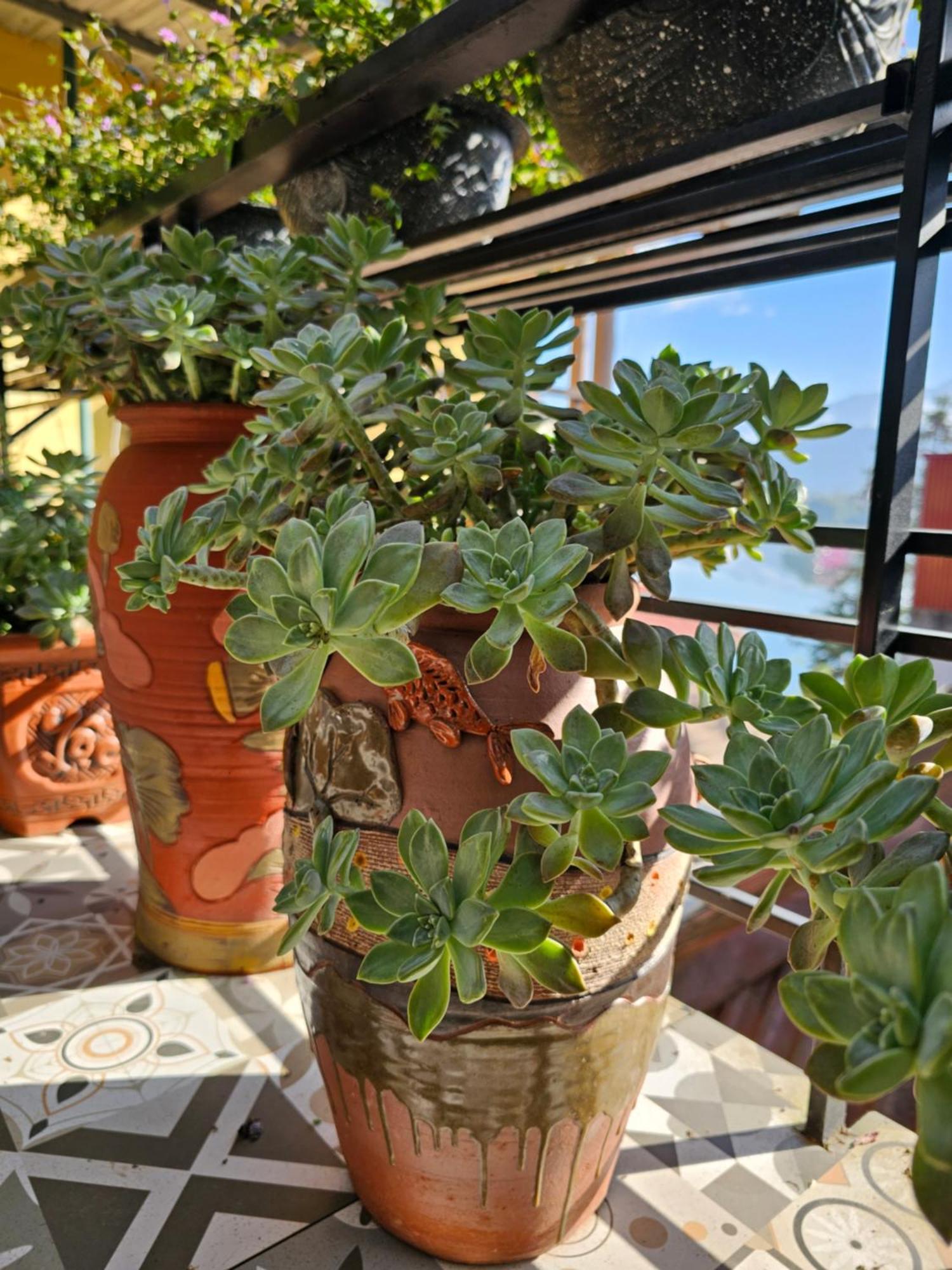 Dang Khoa Garden Inn Homestay Sapa Dış mekan fotoğraf