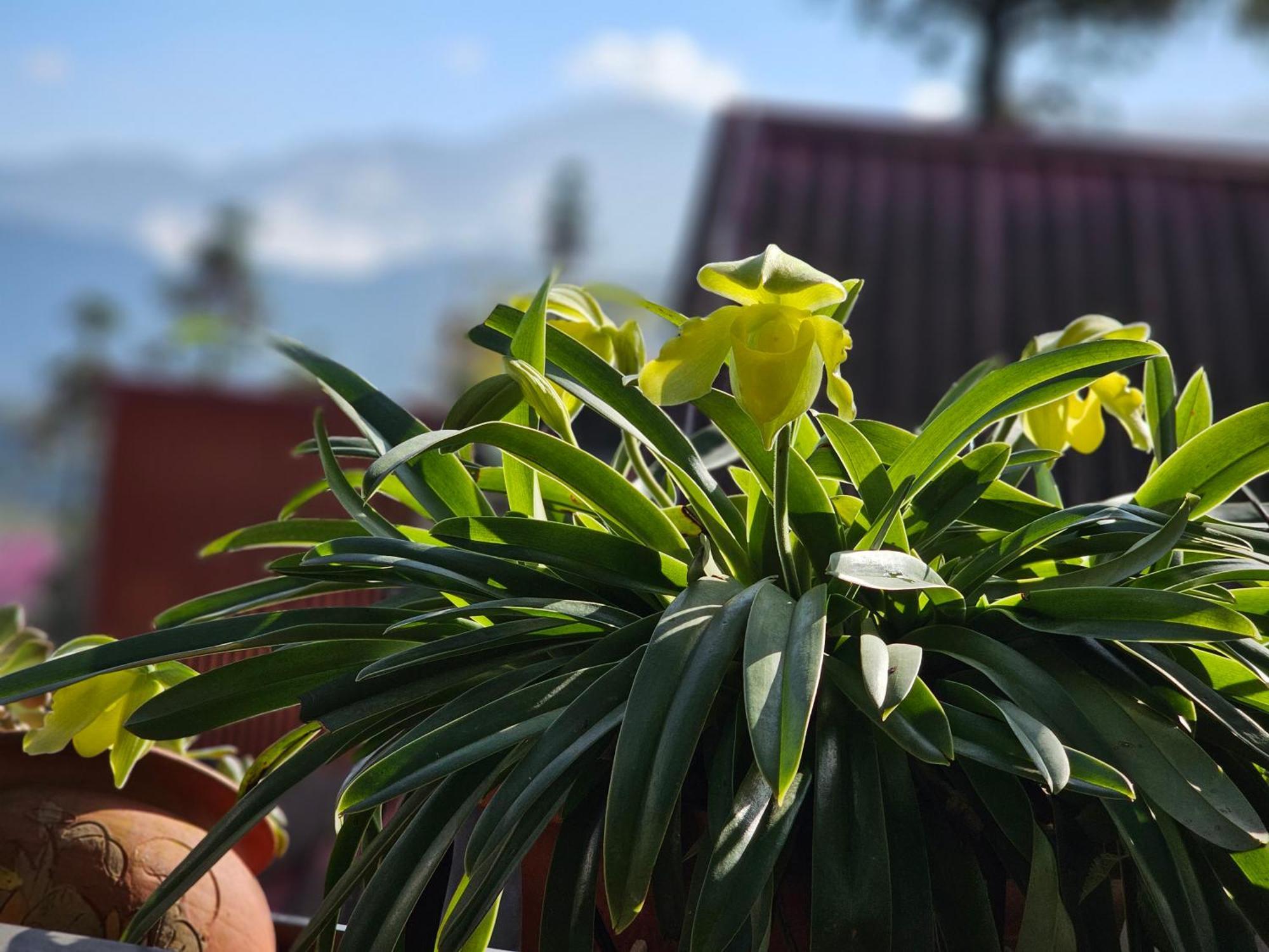 Dang Khoa Garden Inn Homestay Sapa Dış mekan fotoğraf