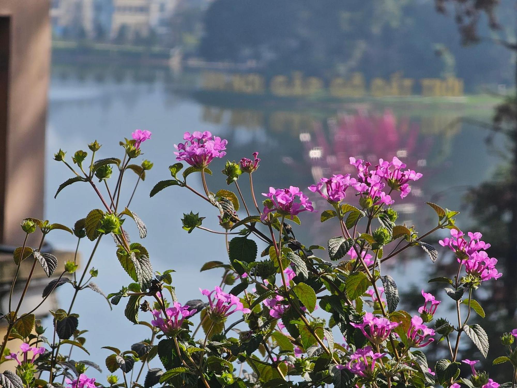Dang Khoa Garden Inn Homestay Sapa Dış mekan fotoğraf