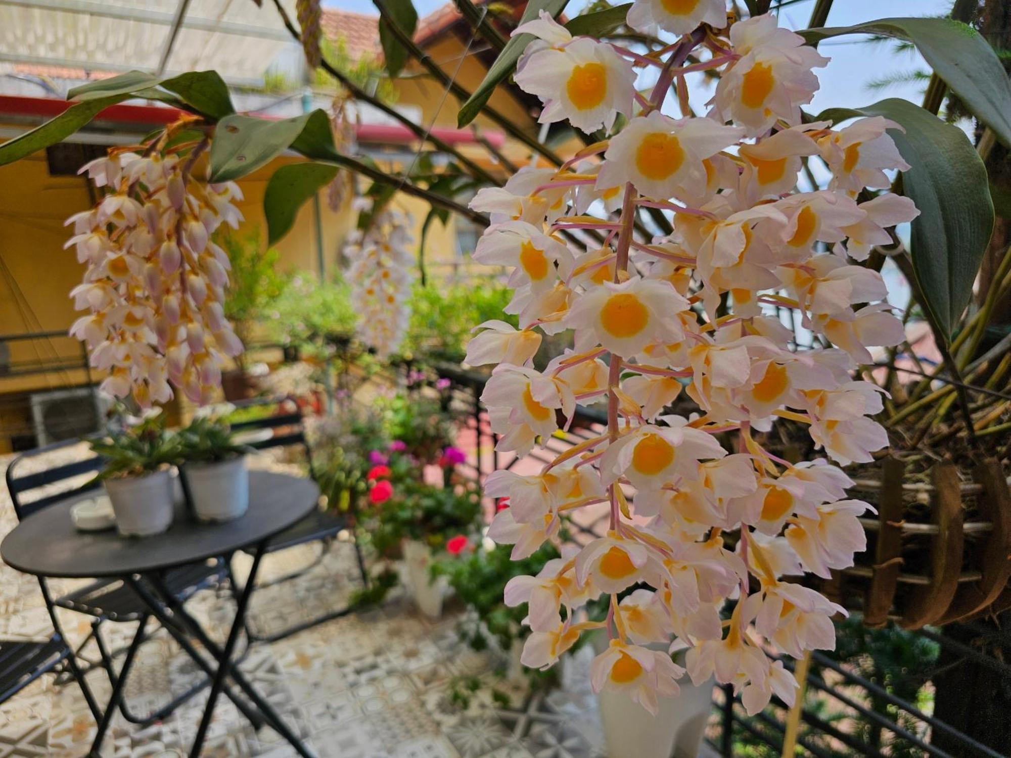 Dang Khoa Garden Inn Homestay Sapa Dış mekan fotoğraf