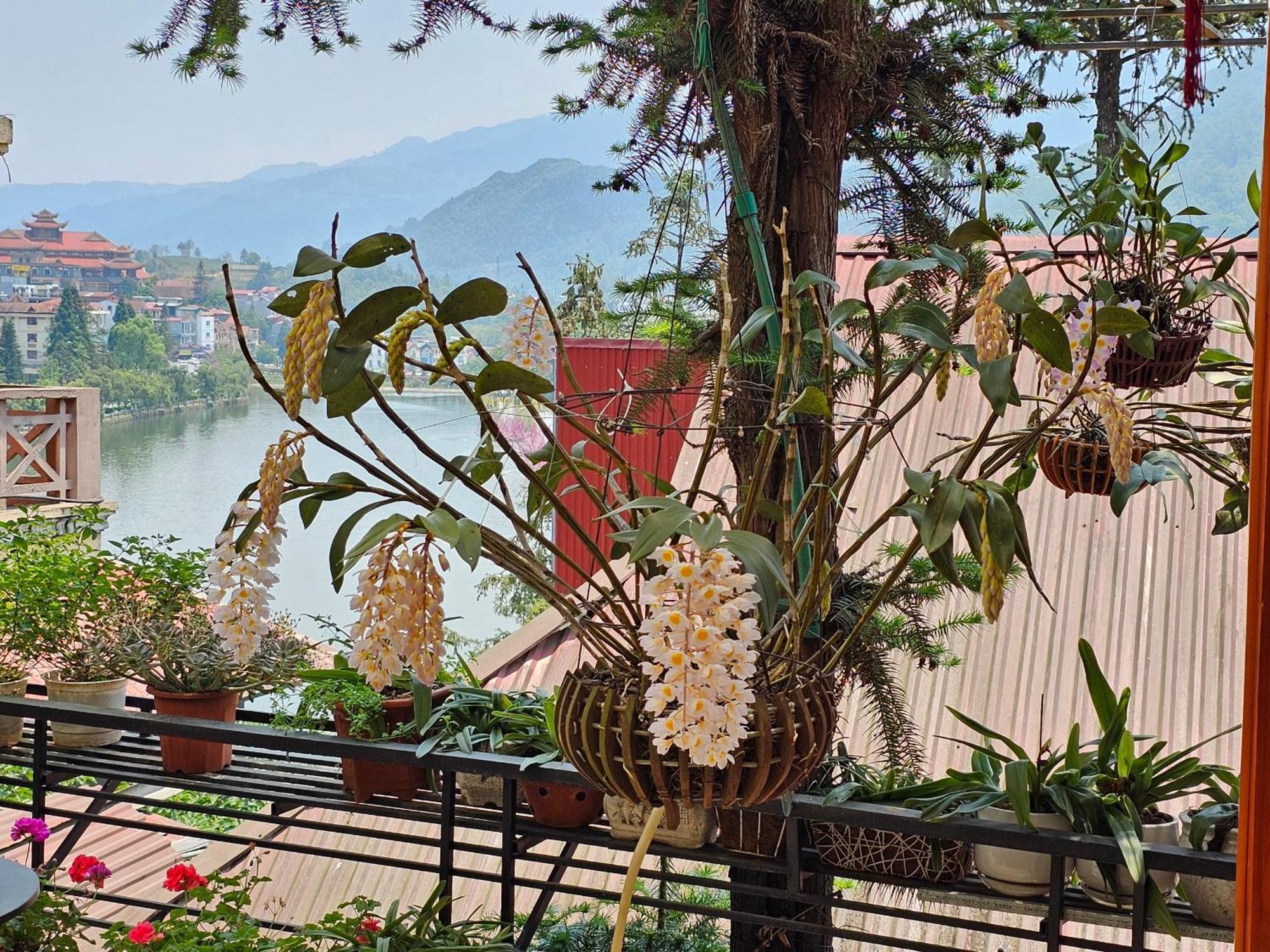 Dang Khoa Garden Inn Homestay Sapa Dış mekan fotoğraf