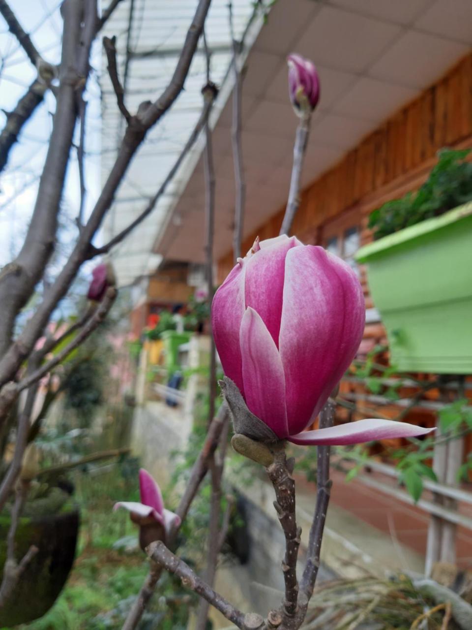 Dang Khoa Garden Inn Homestay Sapa Dış mekan fotoğraf